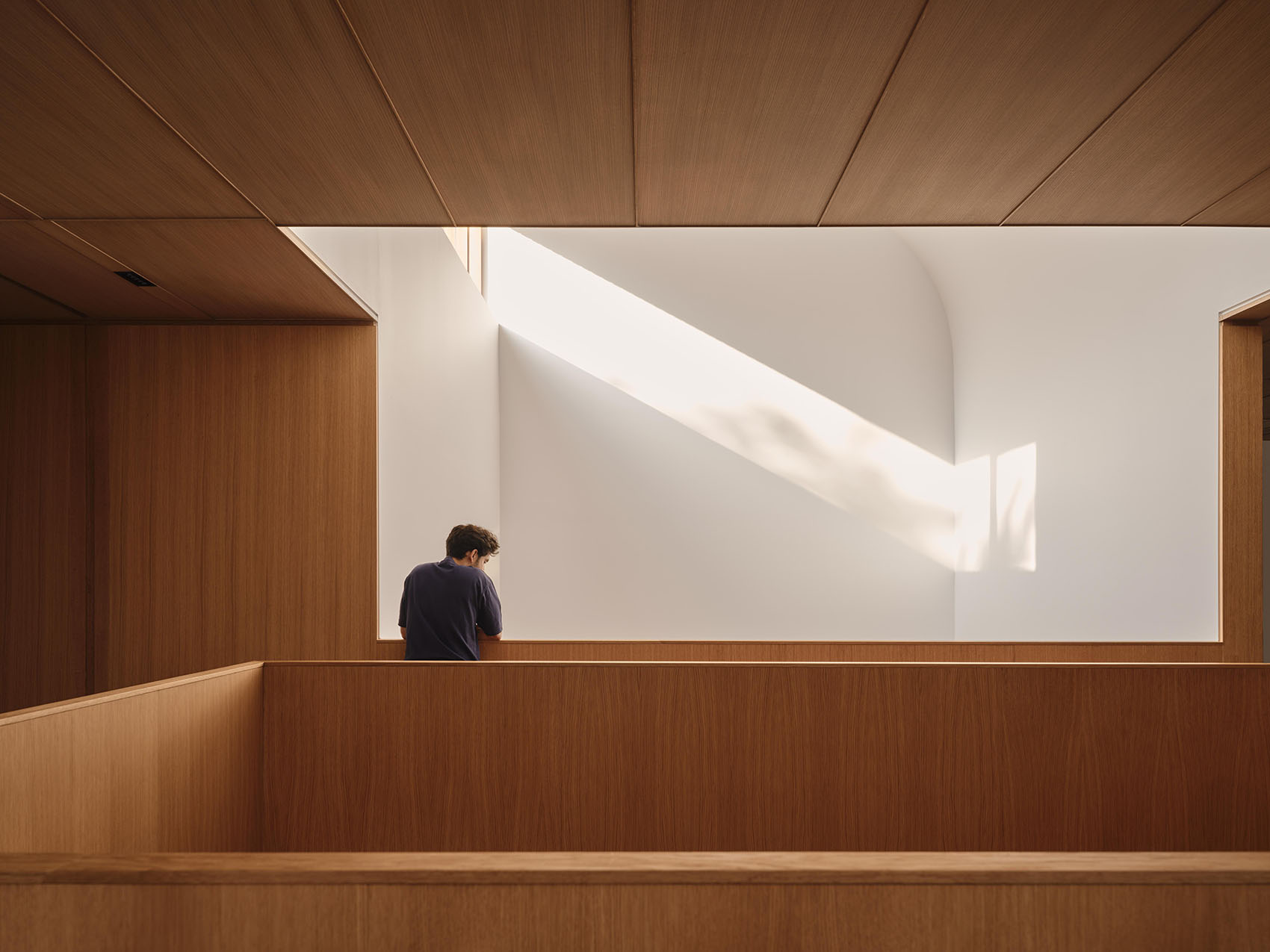 采光之屋丨加拿大多伦多丨Williamson Williamson Inc.-28