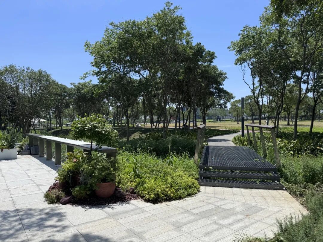 心动西太湖，潮聚新生代——西太湖星心驿周边景观提升工程完工-4