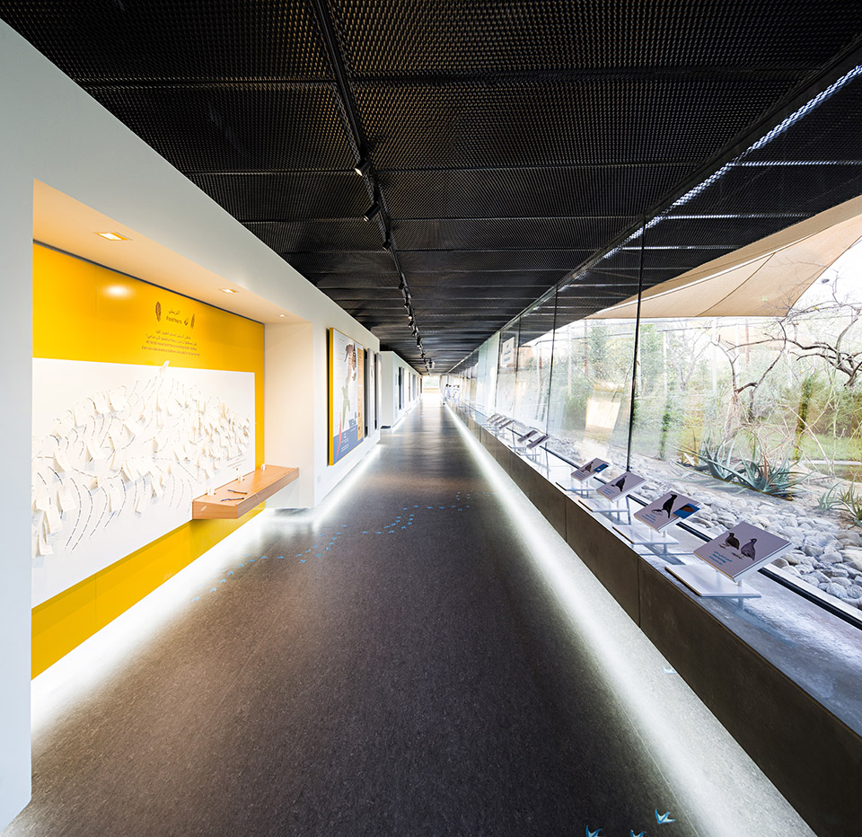 瓦西特自然保护区游客中心,阿联酋 / X Architects-20