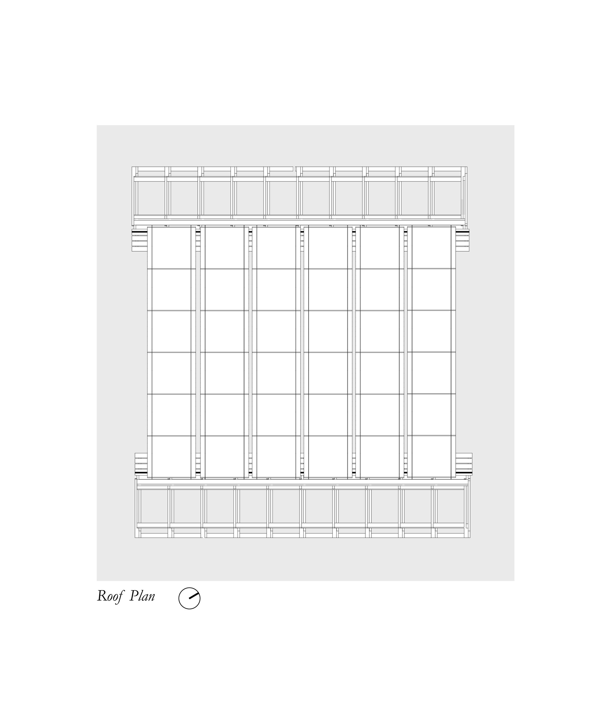 临时老虎·新冠教室-16
