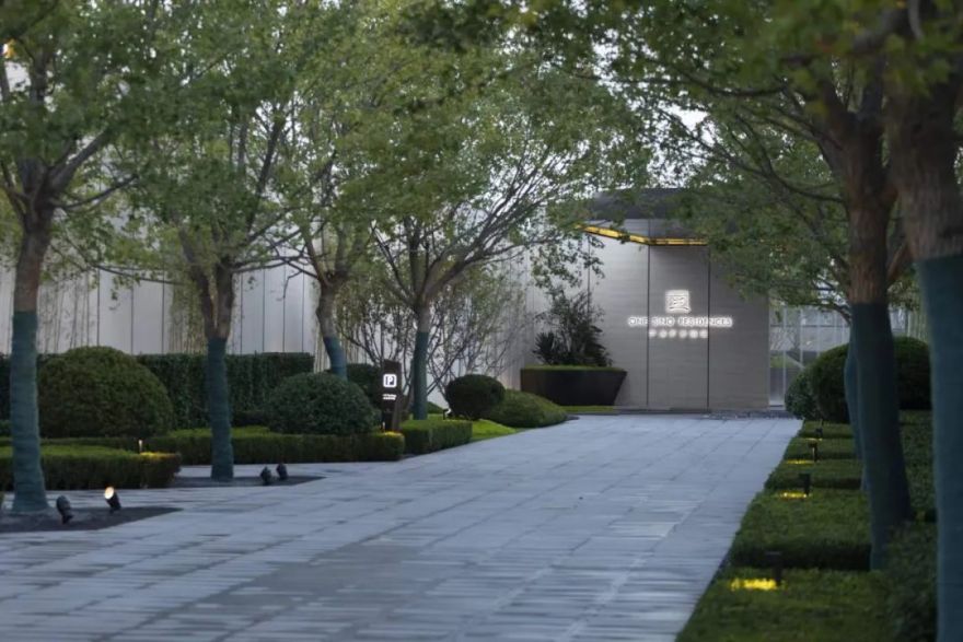 园路列植设计丨上景总工办-64