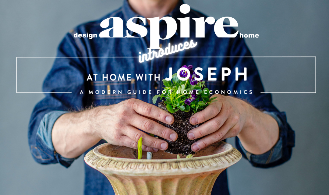 Gardening Archives - aspire design and home-1