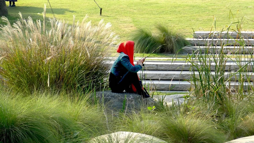 新加坡·南京生态科技岛滨江风光带(大江侧)示范区景观设计项目-17