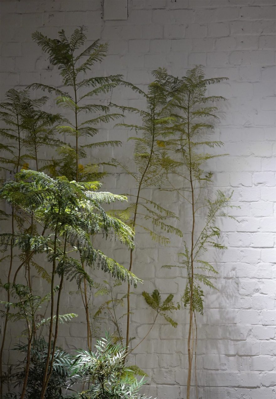 WE HOUSE 物候自然展厅丨我们在办公室造了一个植物园 / 物候设计-53
