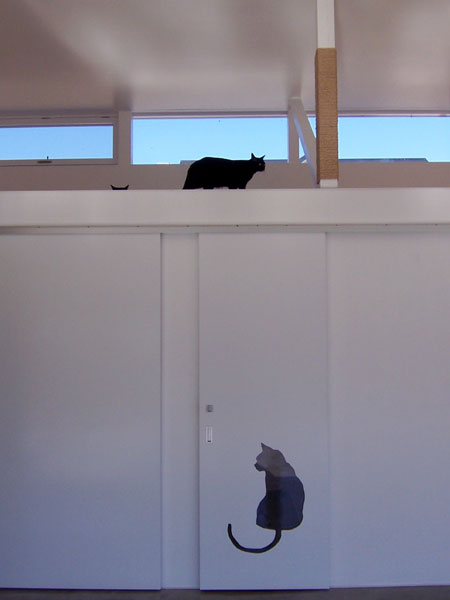 丨日本宫崎丨COGITE-6