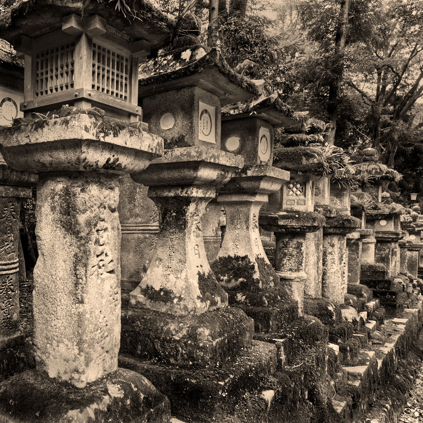 日本和样建筑丨日本奈良丨WAYOU KENCHIKU-4