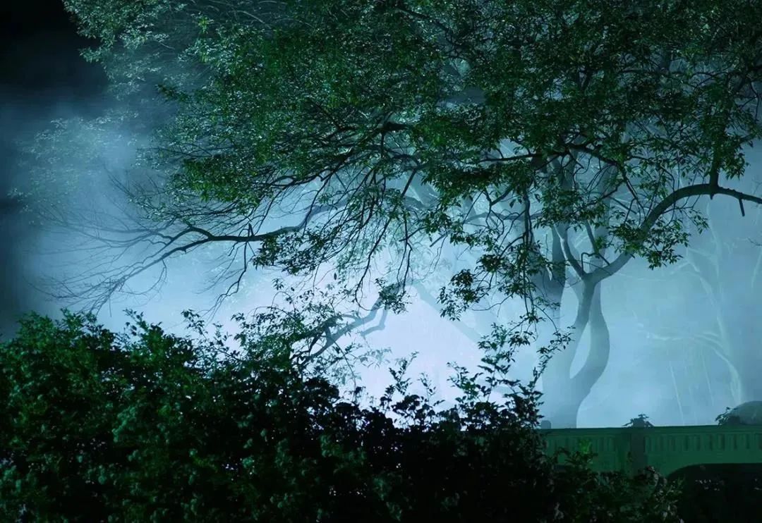 三棵树庄园 | 摄影家的心灵秘境-74