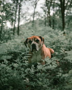 无明确项目名称丨无相关信息