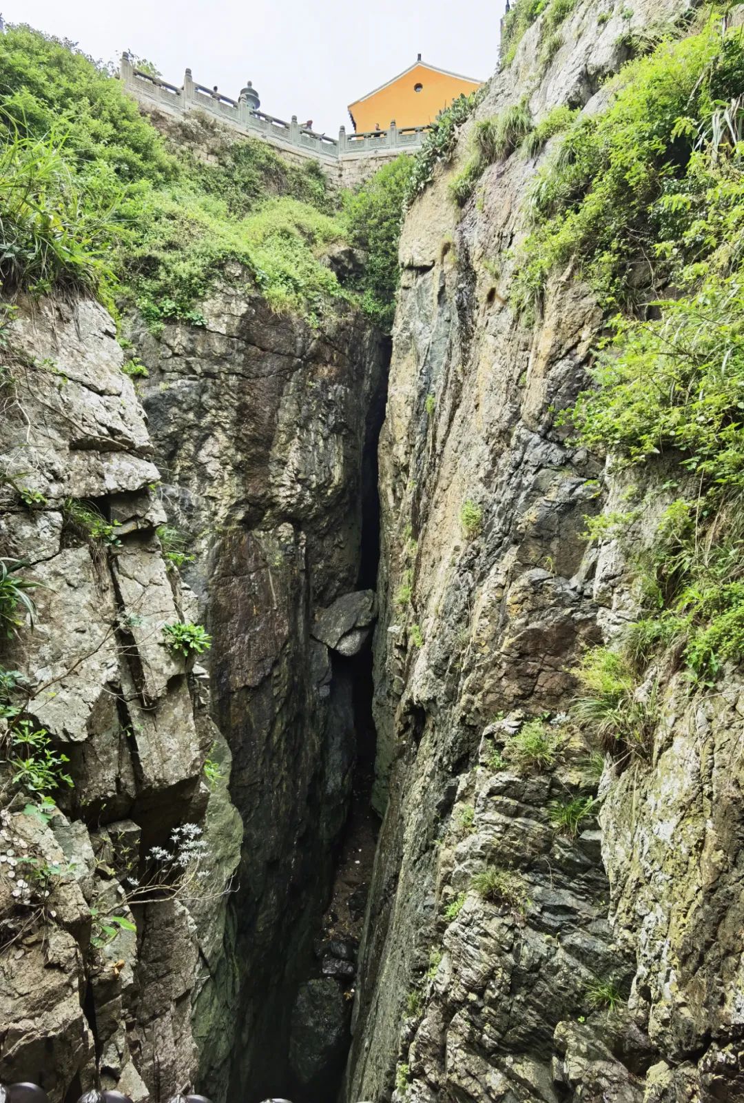 普陀山禅意之旅丨中国普陀丨KLID达观-81