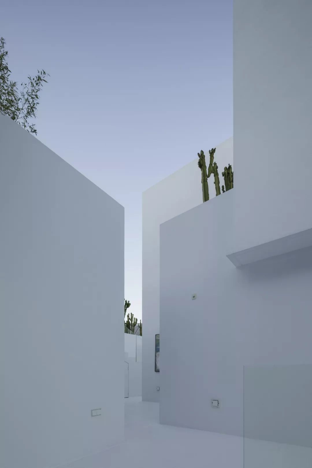 地中海风情的 Villa Mediterraneo | 几何结构与自然景观的完美融合-21