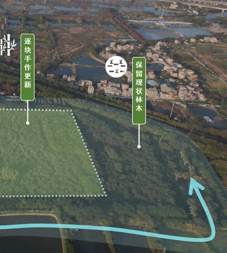 顺德鹭鸟湿地片区景观规划丨中国佛山丨AECOM-16