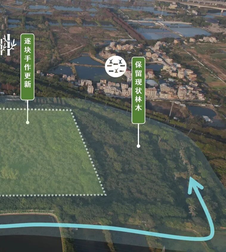 顺德鹭鸟湿地片区景观规划丨中国佛山丨AECOM-16