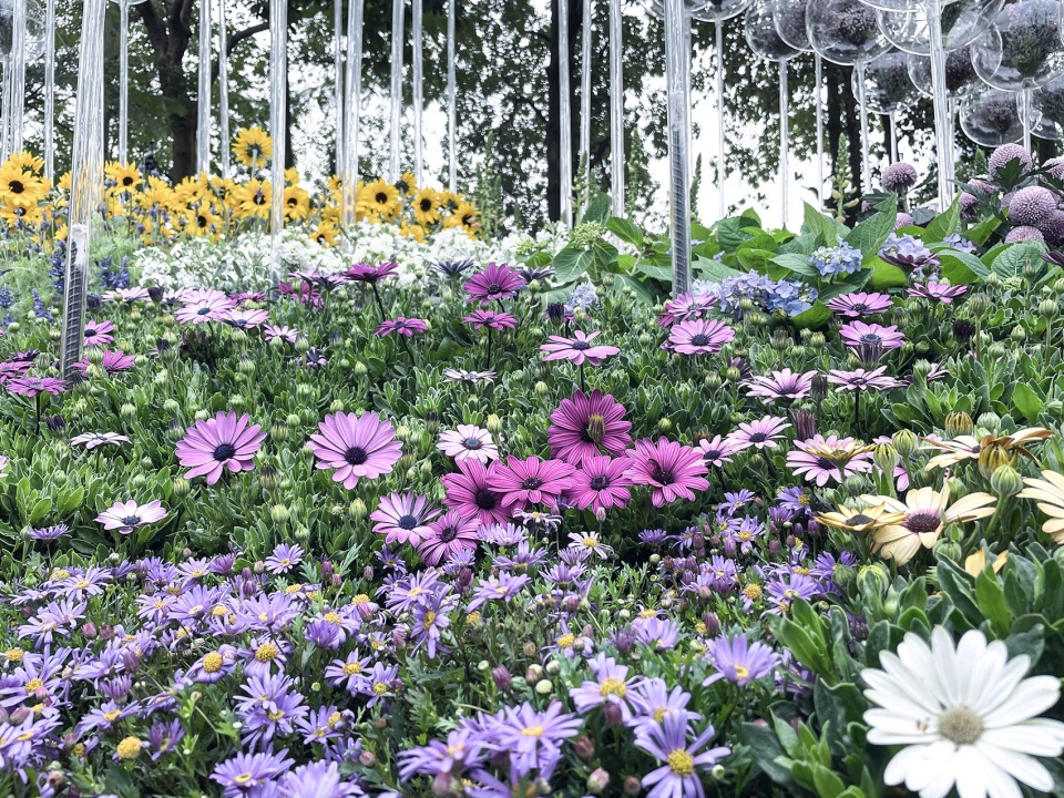 消失的花园丨中国广州丨华南理工大学建筑学院风景园林系-36