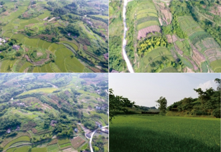 喜报！中建西勘院案例入选中国民用机场协会首批“机场智慧技术装备推广应用典型案例”-5