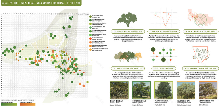 普恩特山填埋场公园改造计划丨美国加利福尼亚丨StudioMLA-37