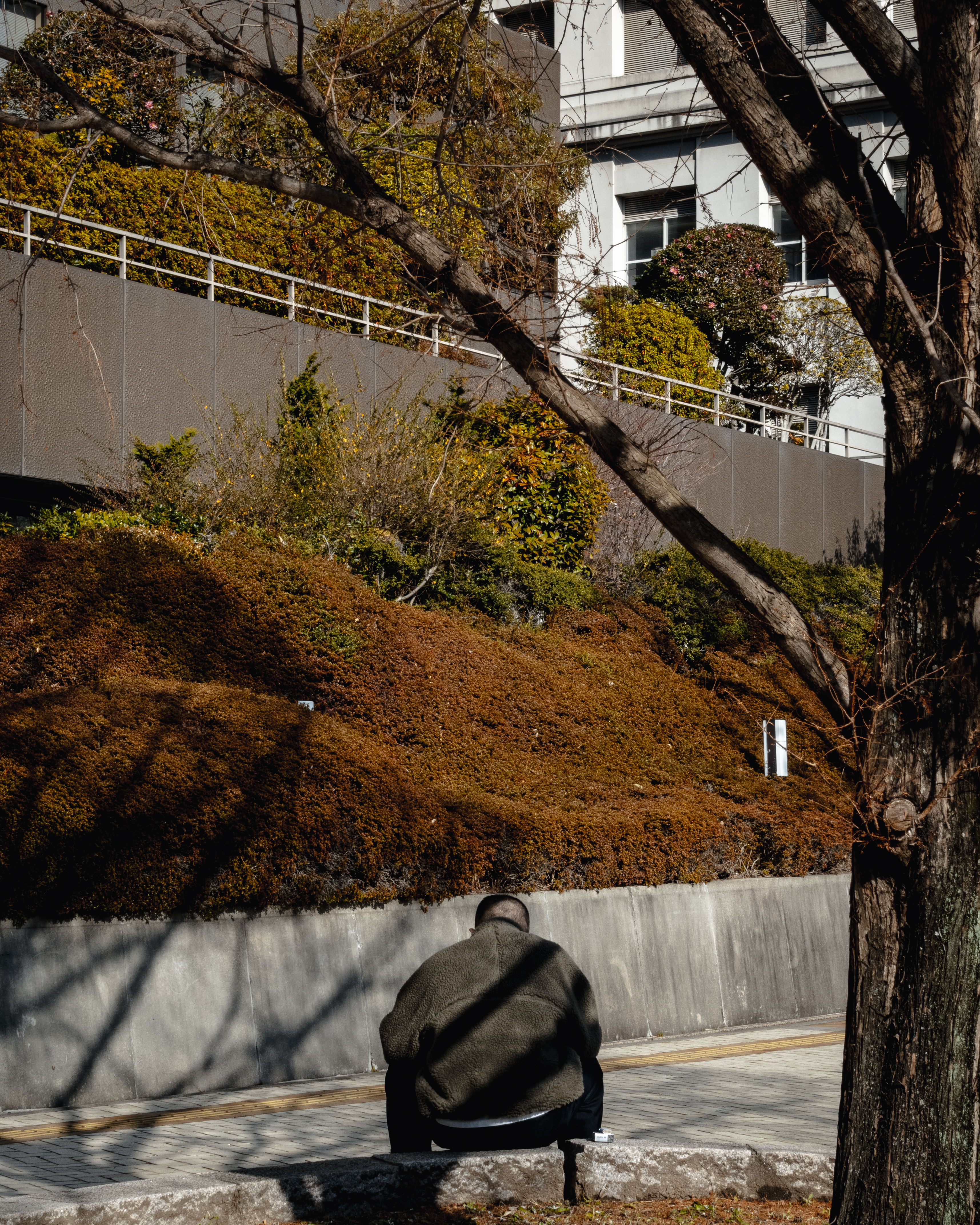 室内设计案例分析-9