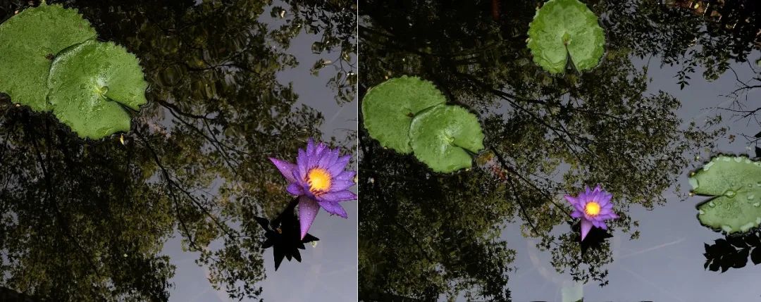 重庆华侨城天澜美墅别墅庭院景观设计丨中国重庆丨MUSO |木守景观-118