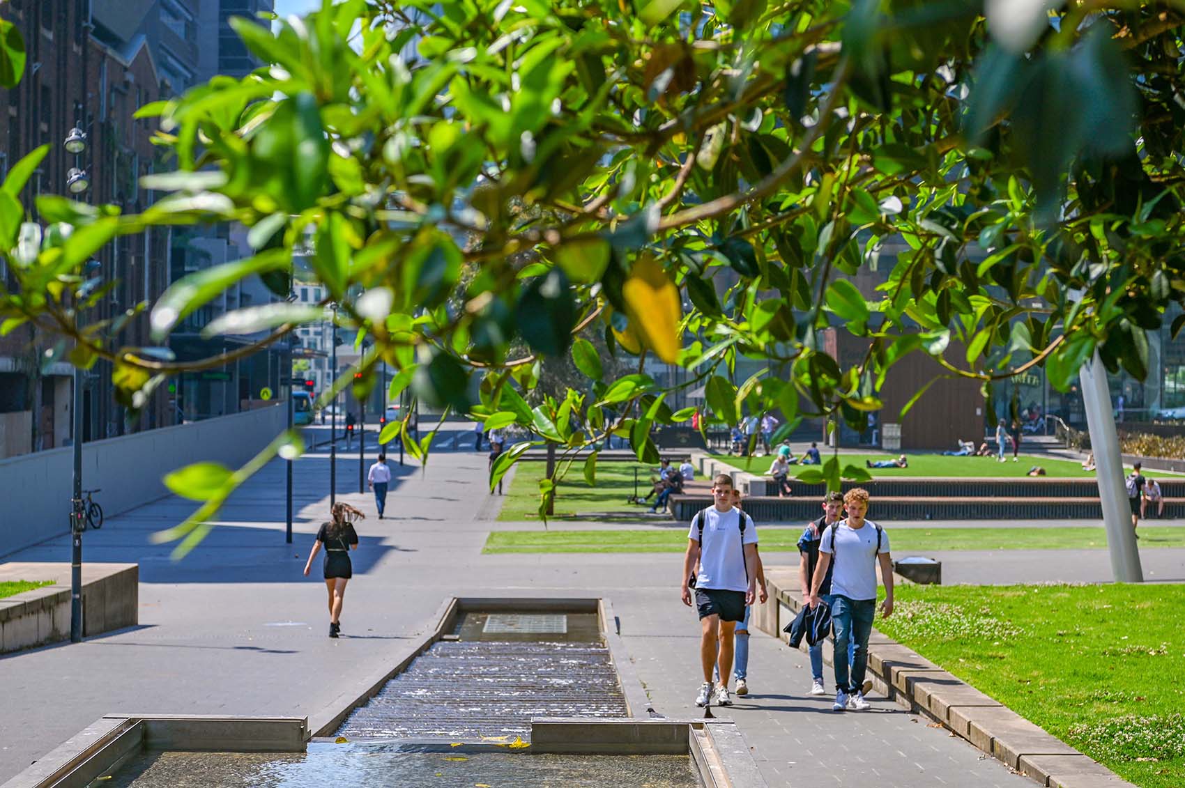 澳大利亚中央公园公共区域丨澳大利亚悉尼丨Turf Design Studio-11