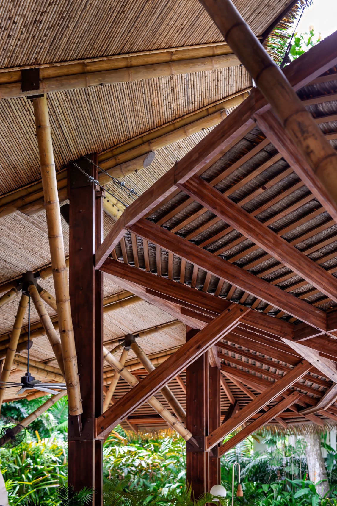 Aguas Claras酒店餐厅和瑜伽馆丨哥斯达黎加丨Studio Saxe-88