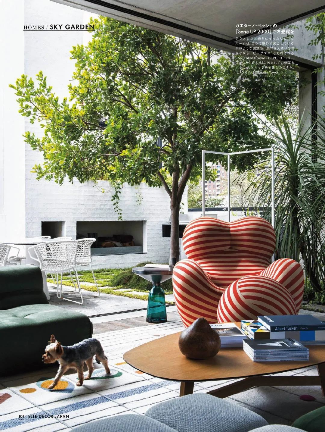 绿植搭配家居,打造夏日清凉空间-24