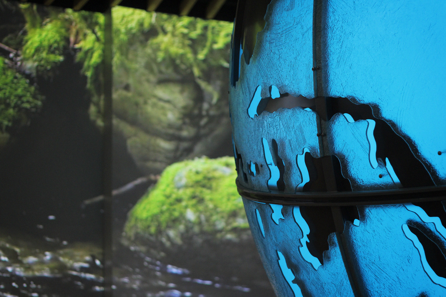 Vancouver Aquarium Immersive Projection-11