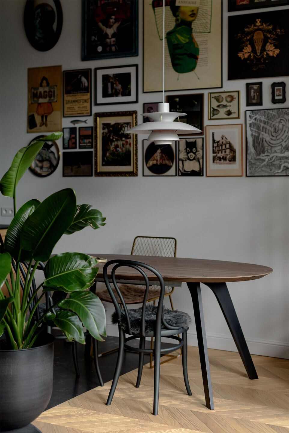 波兰历史建筑中的现代绿意空间-30