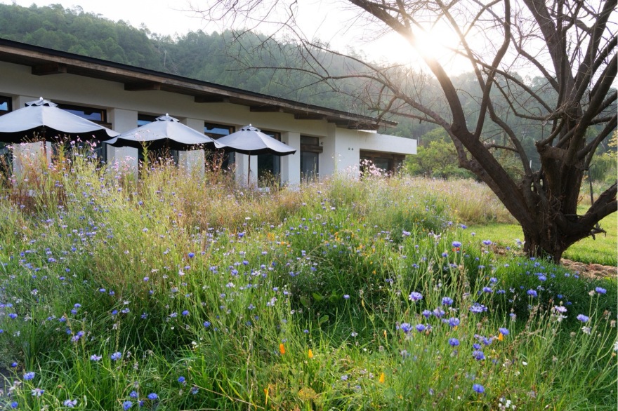 泸沽湖岚岳海子花园丨中国丽江丨Z’scape致舍景观(景观),尚壹扬设计(建筑及室内)-96