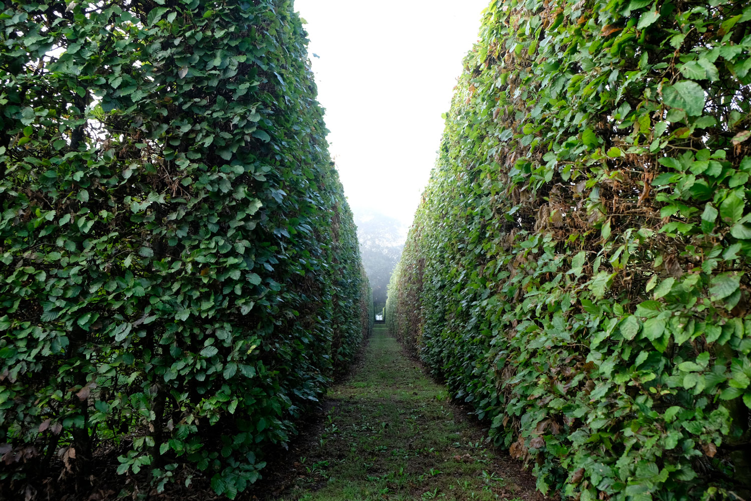 丹麦私家花园 Ellipse Garden-21