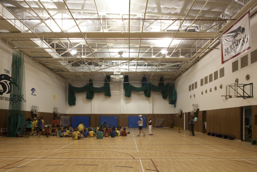 The British School Morphogenesis-50