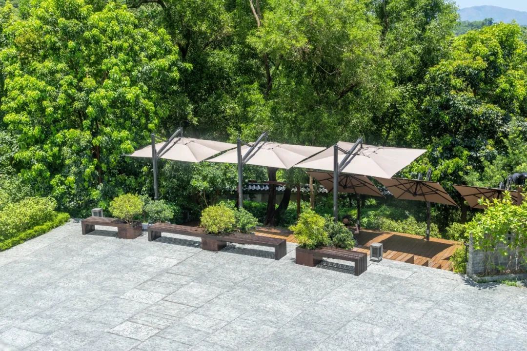 中国香港大埔区慈山寺周围绿色景观丨LWK+PARTNERS-16