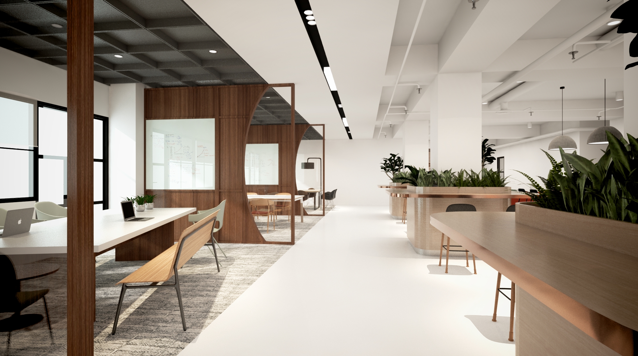 Co Working Office for Startup-5