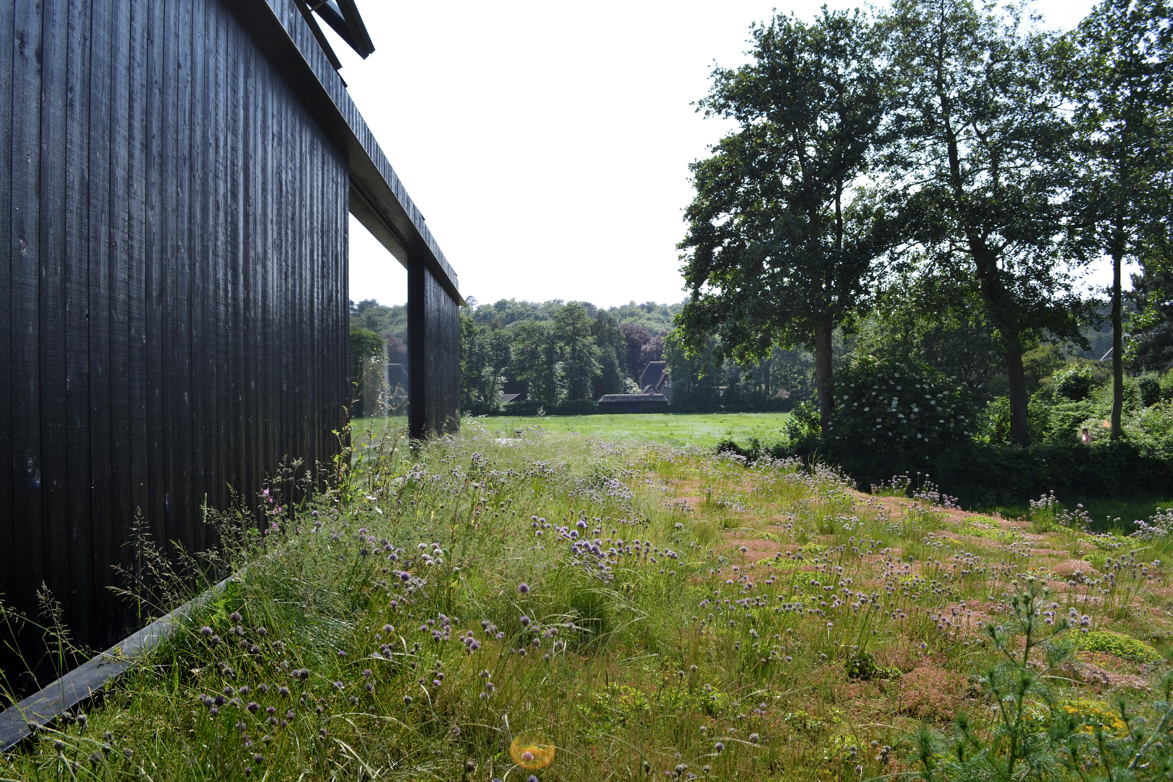 斯霍尔花园丨荷兰丨Andrew van Egmond-10