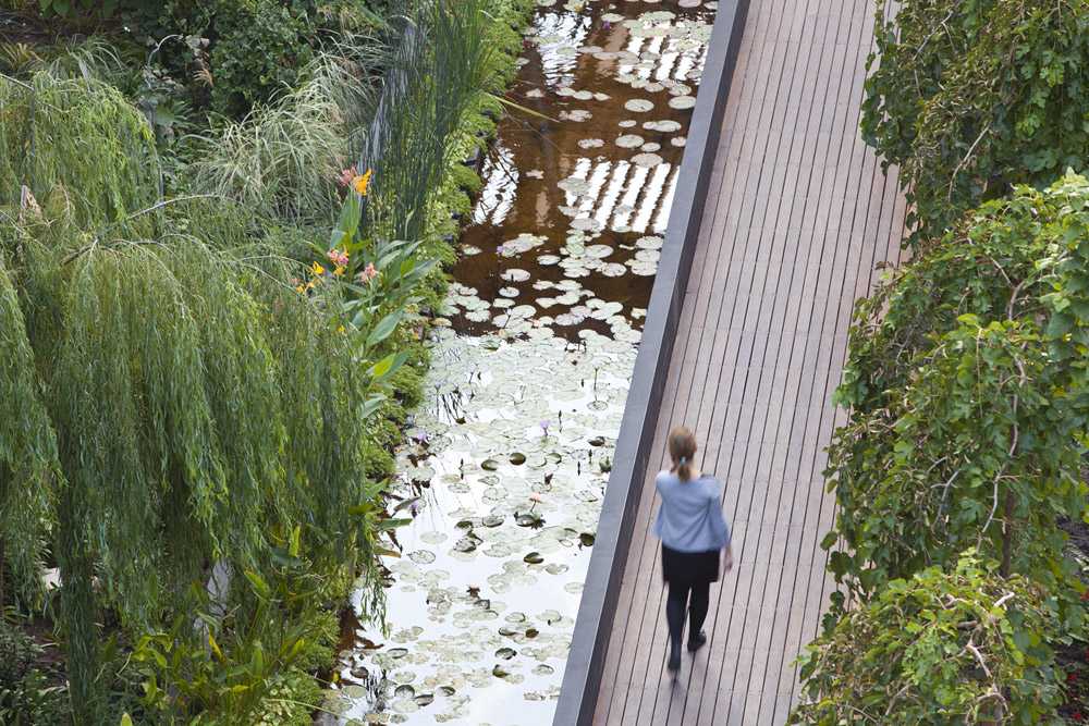 以色列赫兹利亚科技园区的“绿色云”丨Moshe Zur 建筑事务所-9