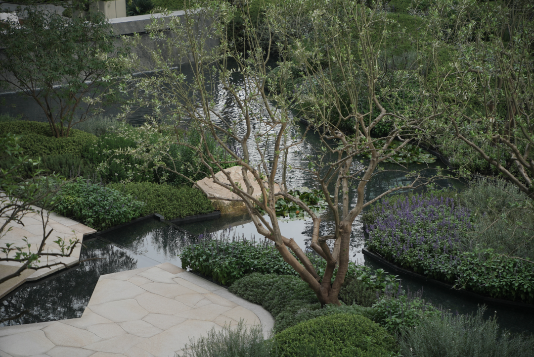 在蓝绿森境里，续写自然与轻奢的故事——华润置地时代之城二期花境-25