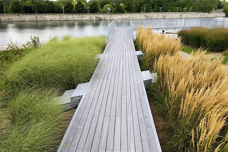 边界植物在景观设计中的妙用-33