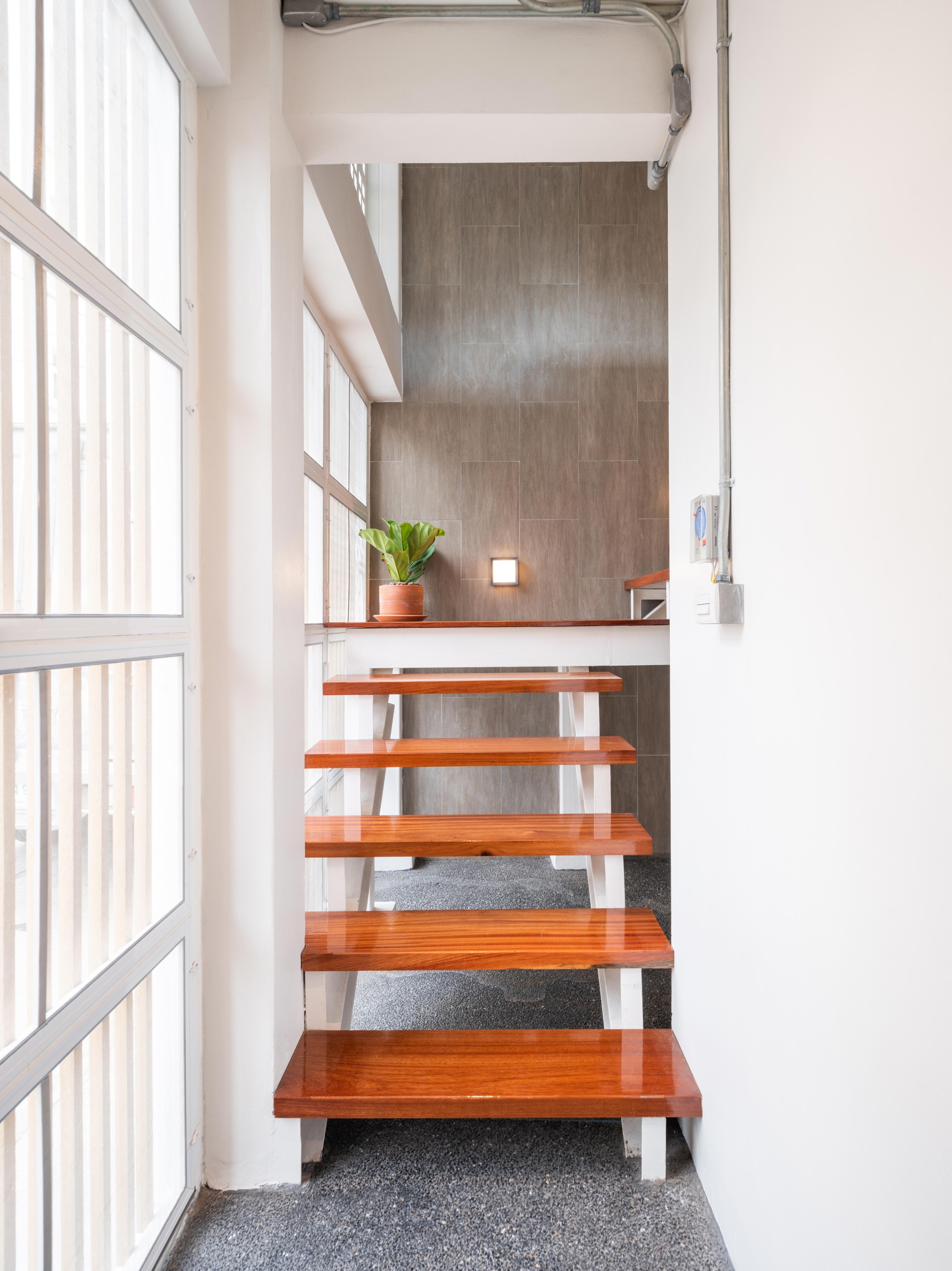 曼谷双宅别墅,灵活空间与自然融合-7