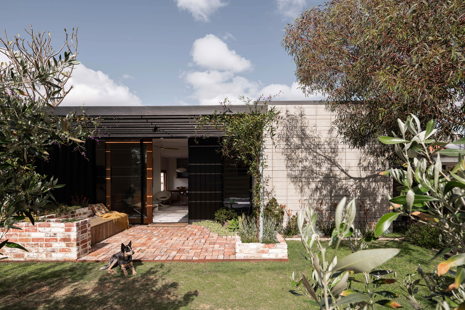 Bayswater House Robeson Architects-12