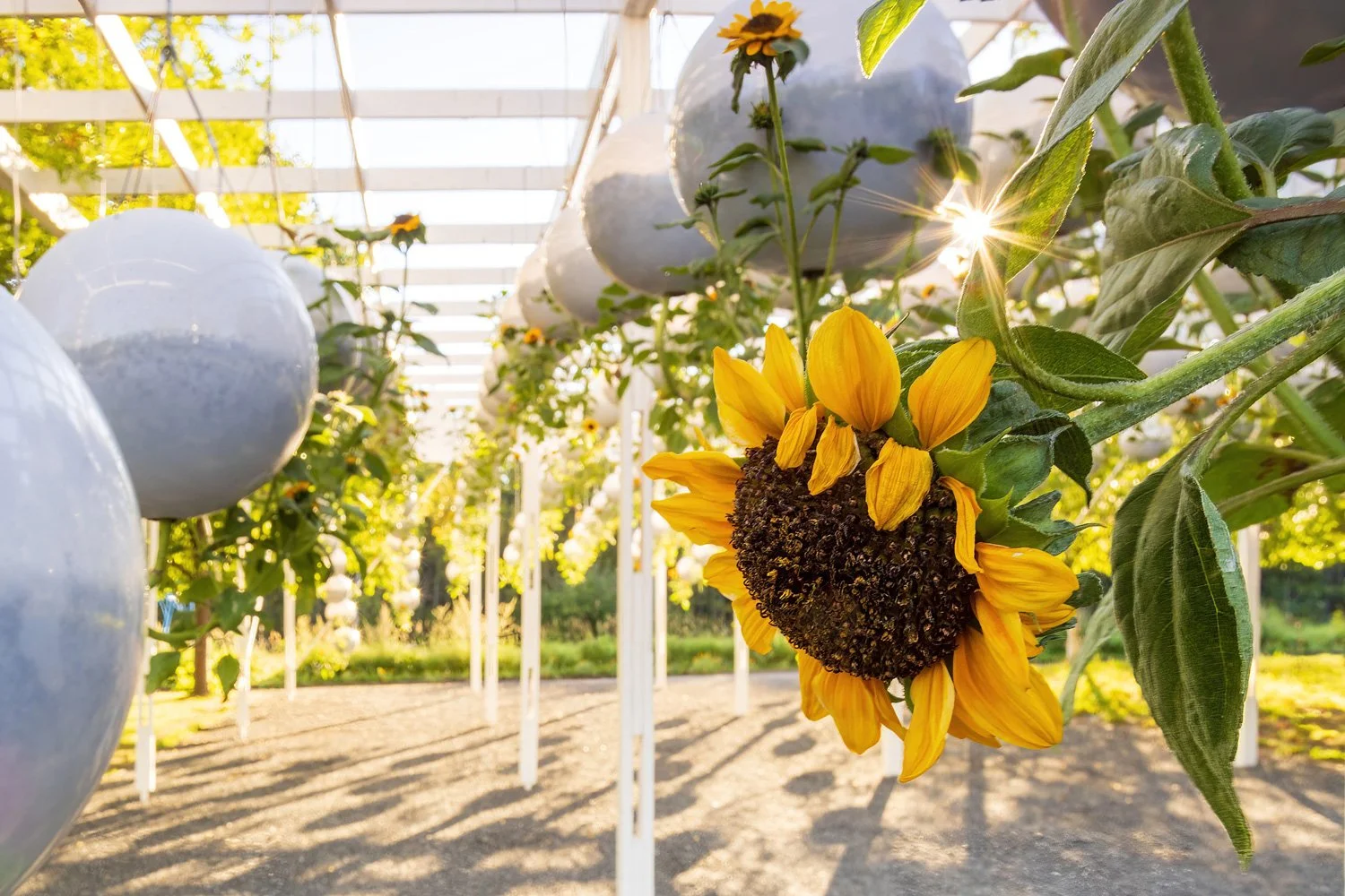 地形工作重力场-15