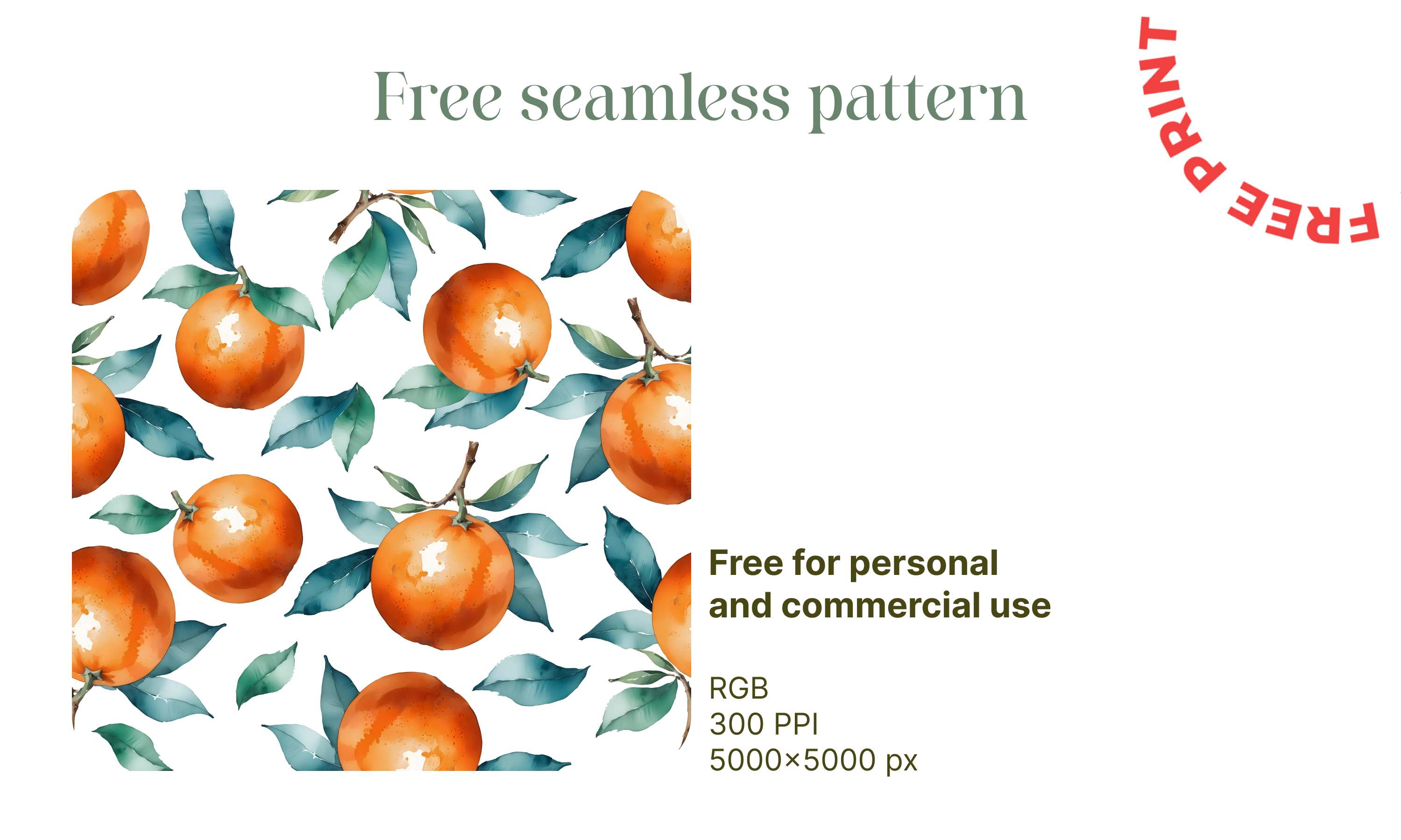 Seamless citrus pattern collection. Free print-12