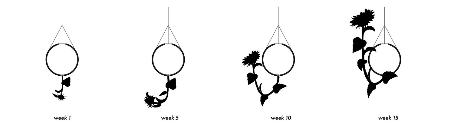 地形工作重力场-12