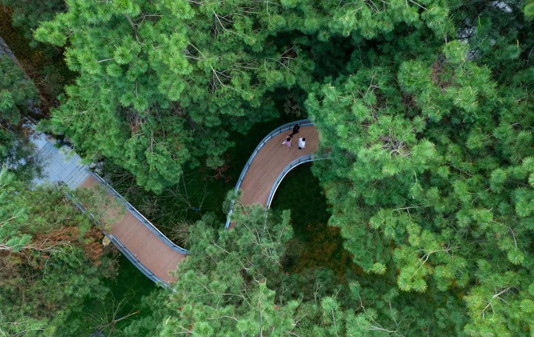 贵阳融创·云麓长林 | 自然之约,心灵之旅-25