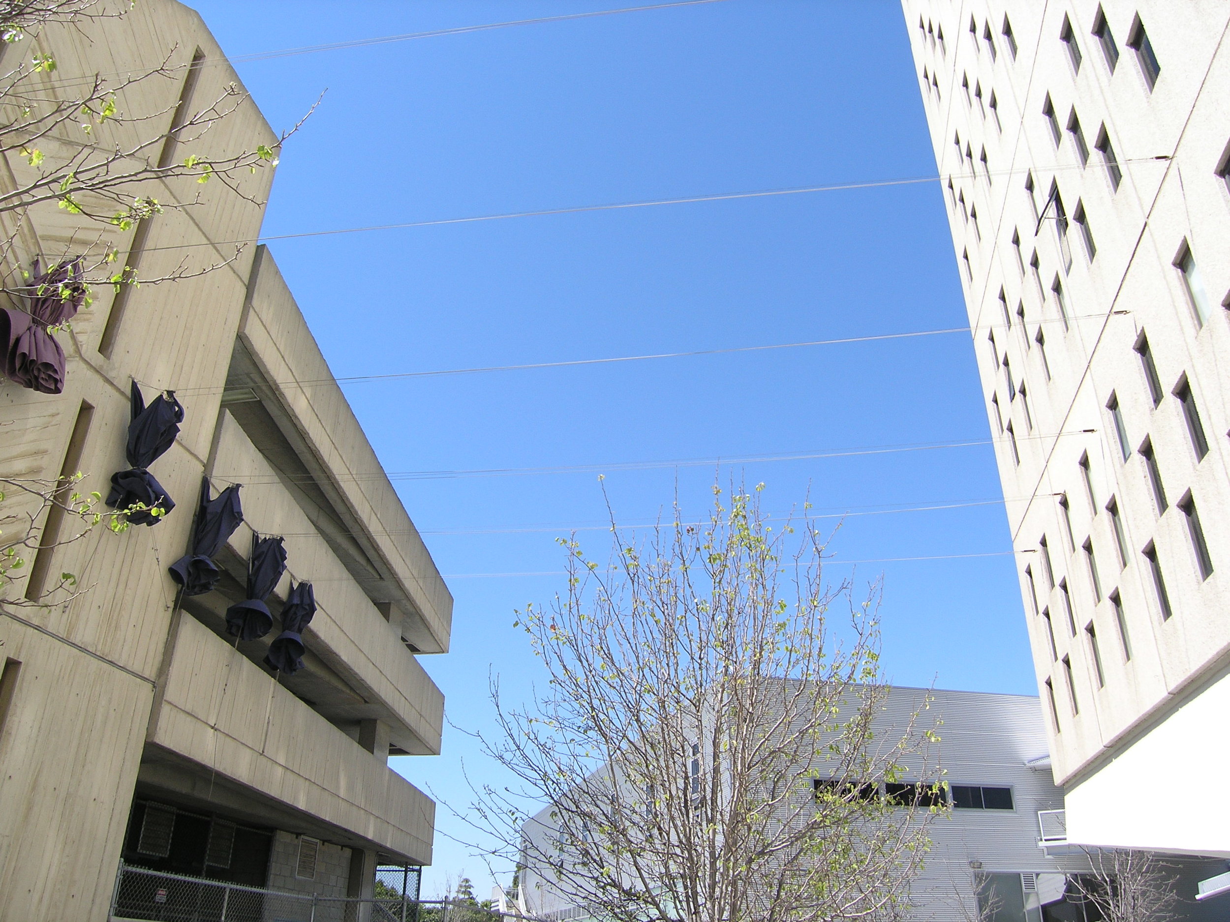 丨美国洛杉矶-32