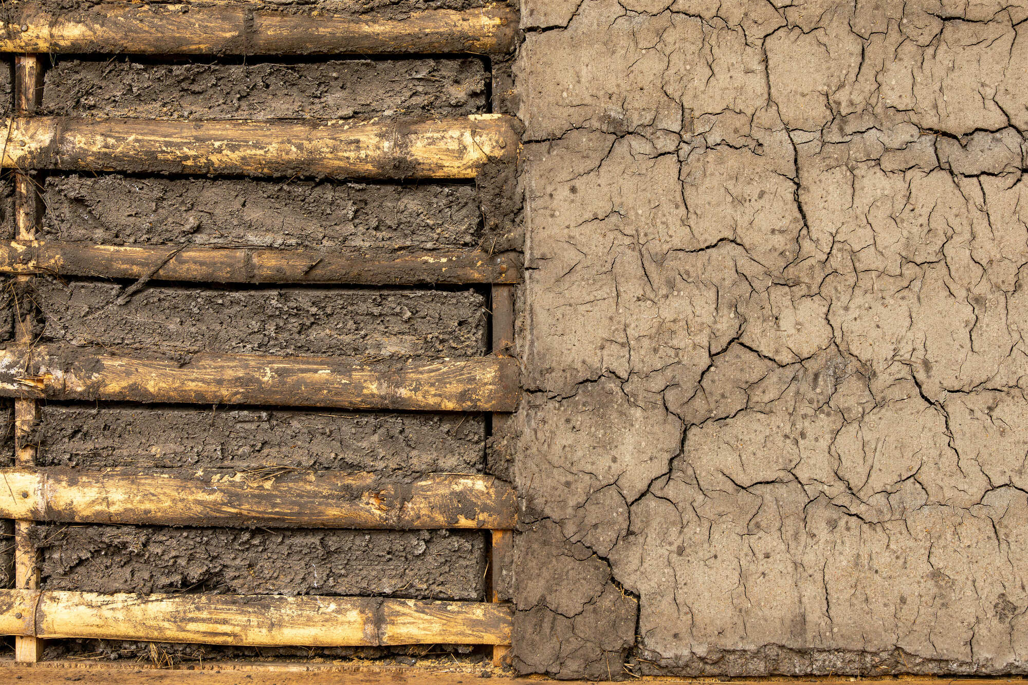 丨Ecuador丨Cubbil studio-35