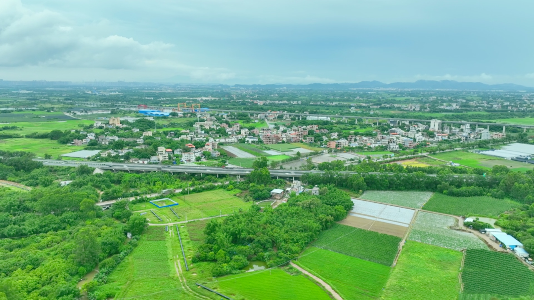 尚品｜惠阳区“老良井”圩镇片区美丽示范街区：一场唤醒乡愁的古今对话-3