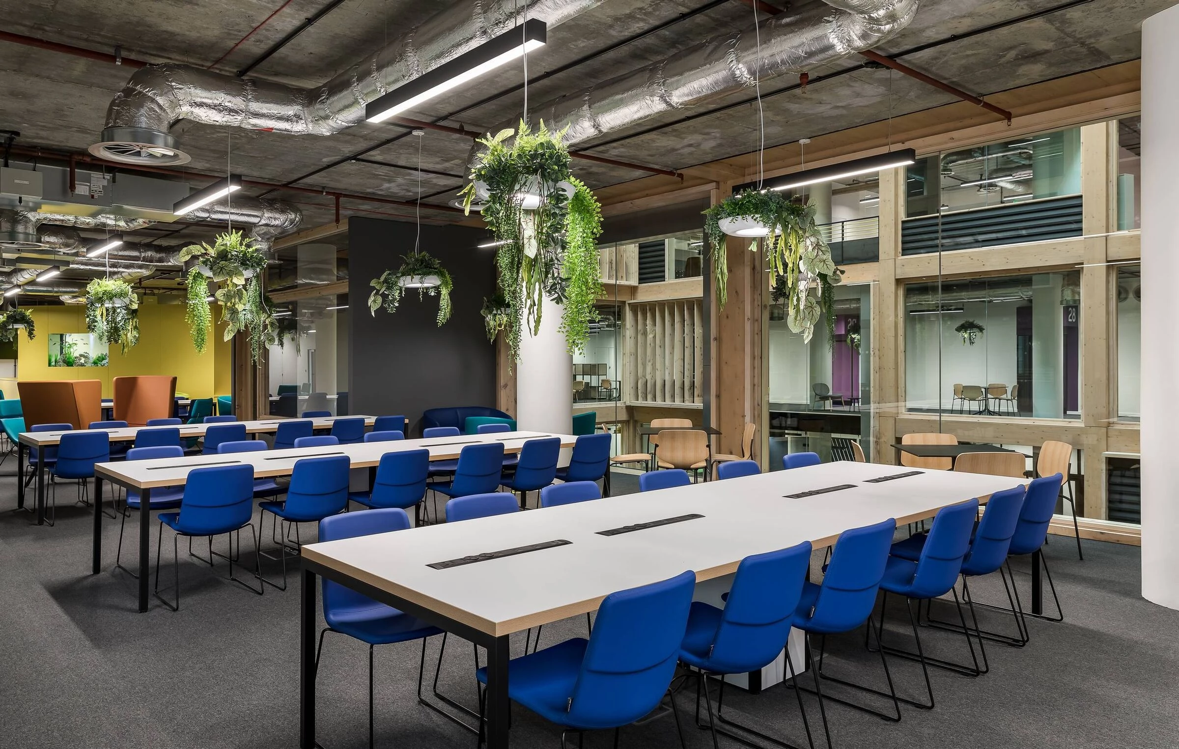 Anglia Ruskin University – 4th Floor-11