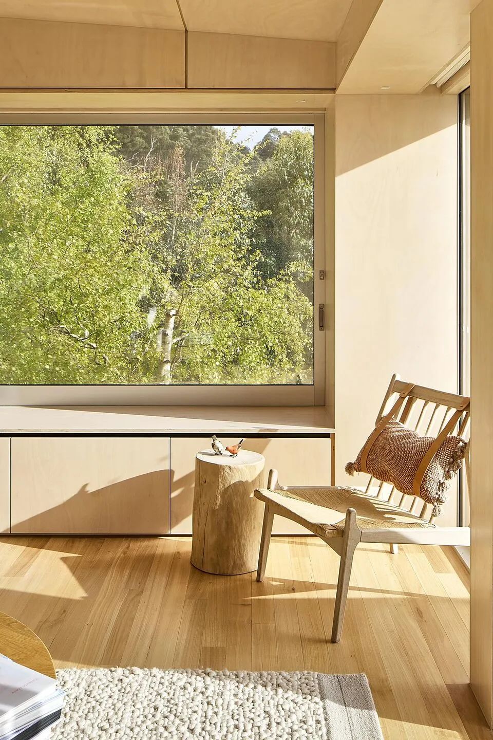 Robin Hill 住宅扩建与翻新项目丨澳大利亚霍巴特-50