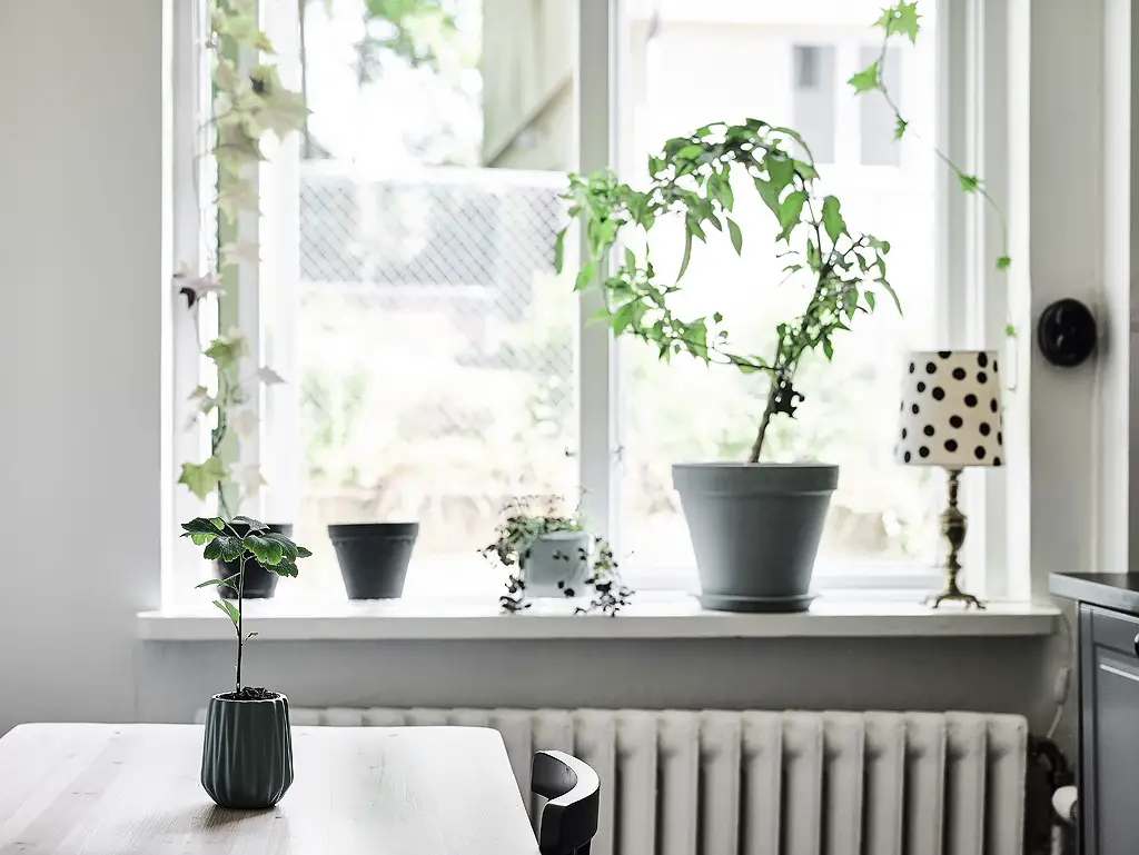 蓝调晨光 | Scandinave 风格的惊喜公寓-12