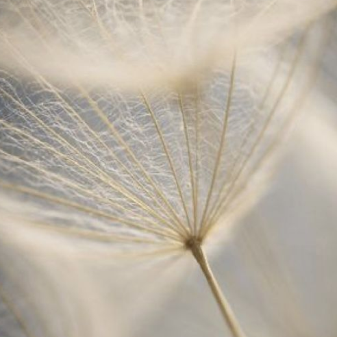 保亿·御景润府丨中国重庆丨海力空间设计-35