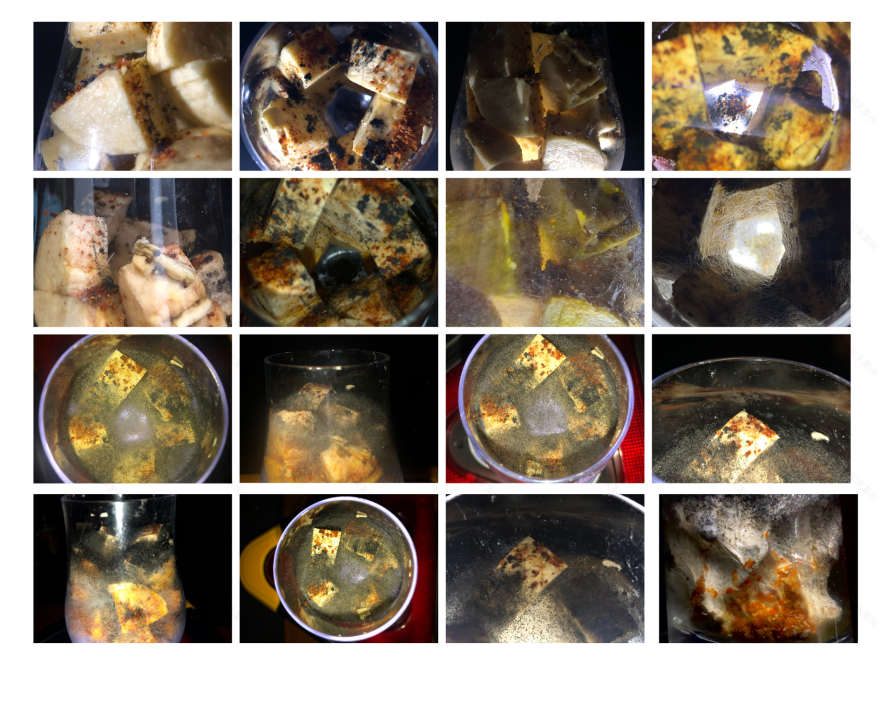 空间与自然元素-34