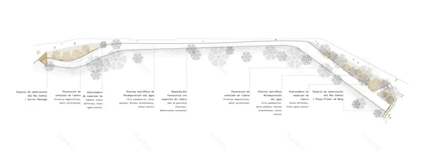 Rec Comtal 环境修复丨西班牙巴塞罗那丨Adrià Goula-16